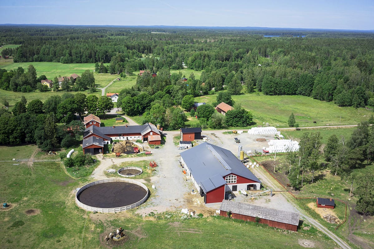 Nötdjurstall, Tärnsjö | BYGGLANT