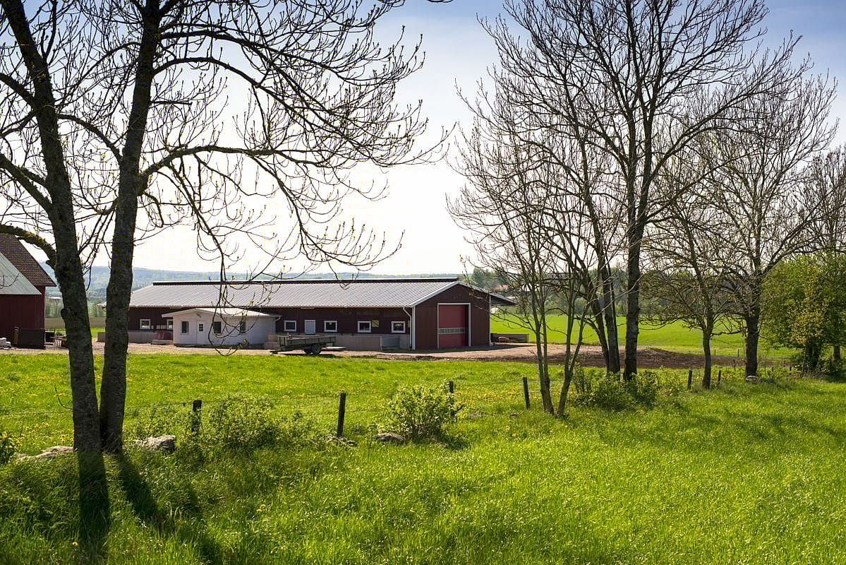 Grisstall, Mariestad | BYGGLANT