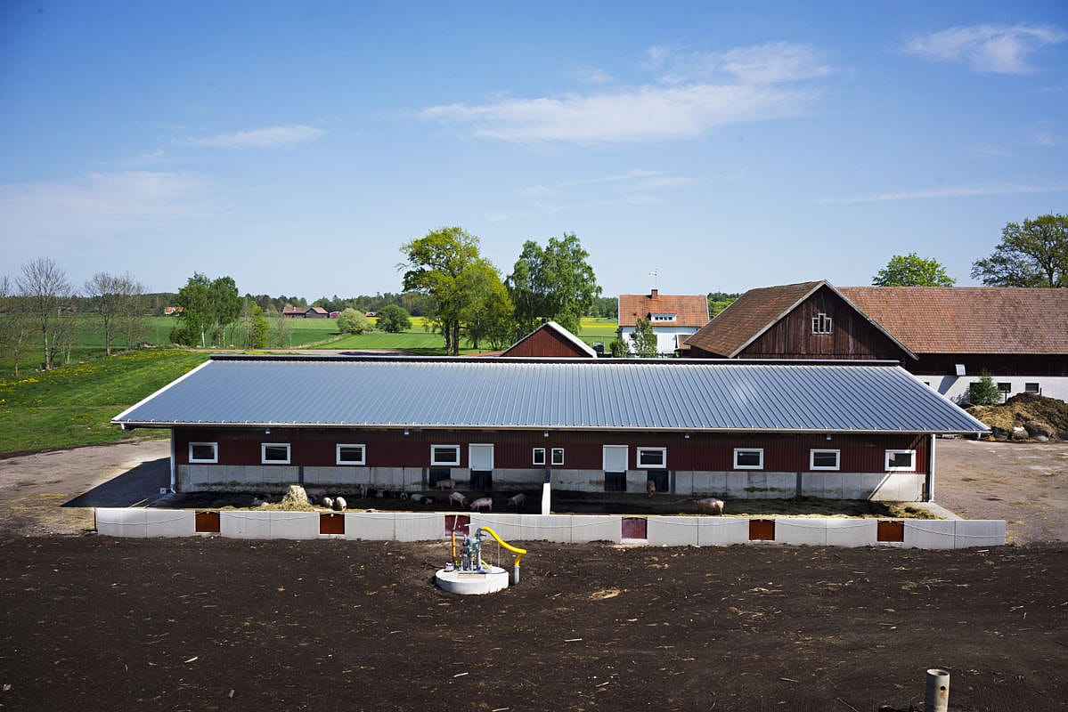 Grisstall, Mariestad | BYGGLANT