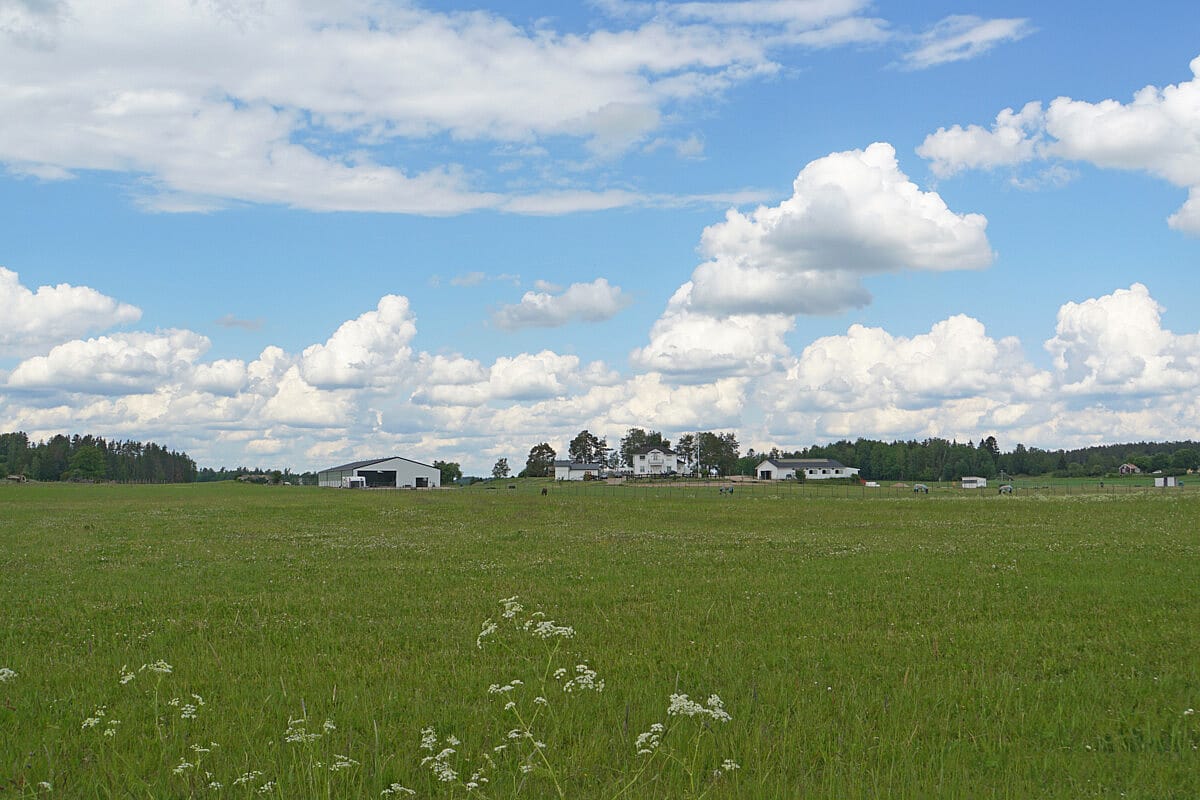 Ridhus, Köping | BORGA