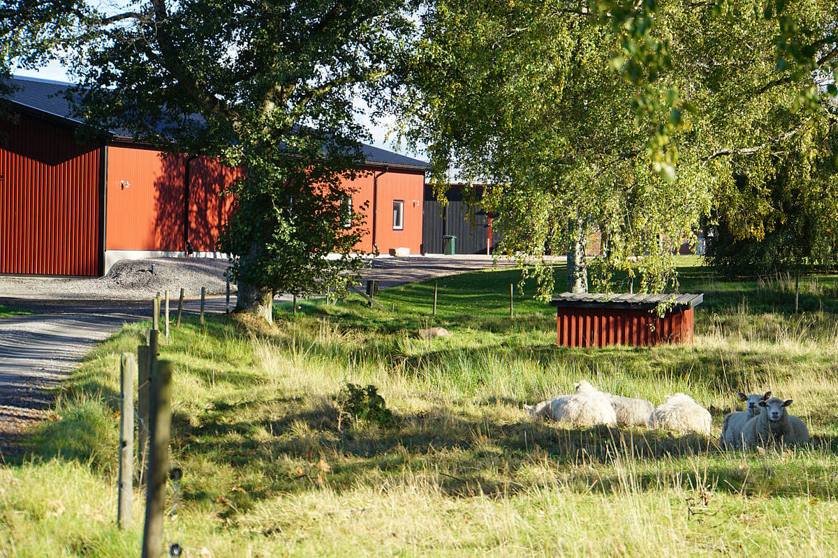 Verkstad, Götene | BORGA