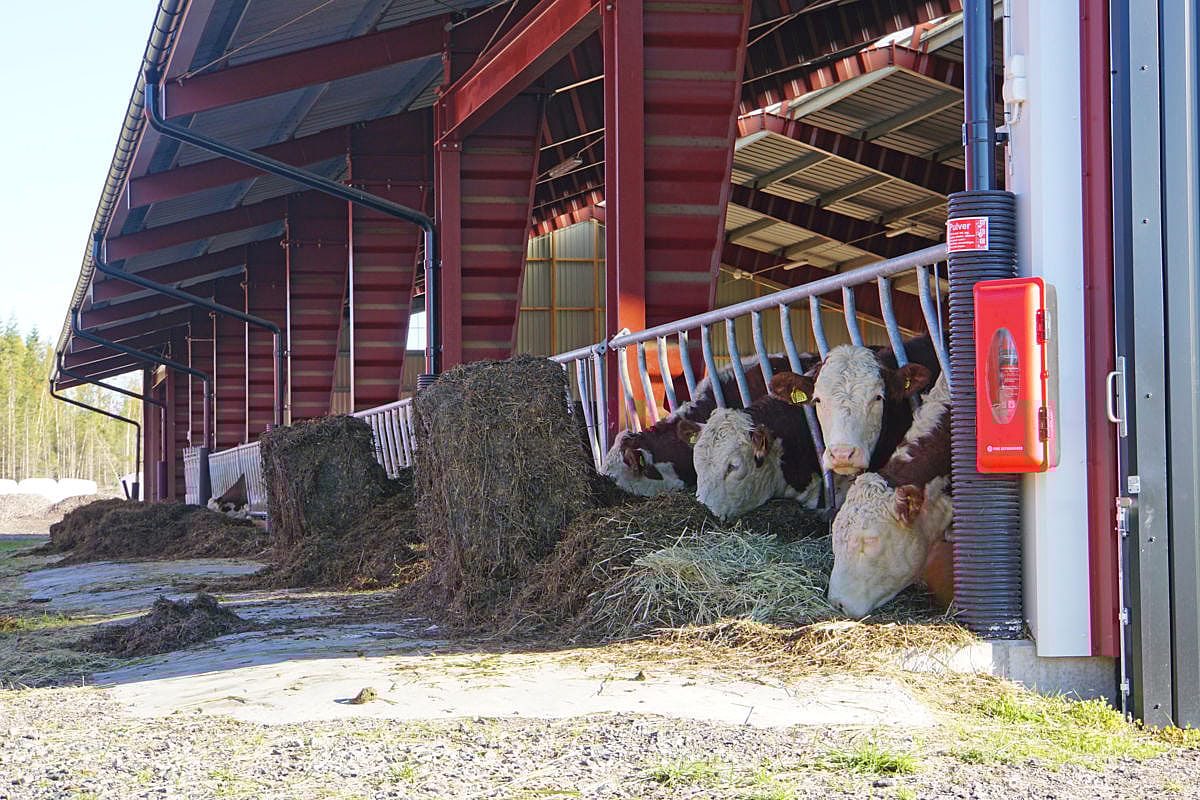 Kostall, Kristinehamn | BORGA