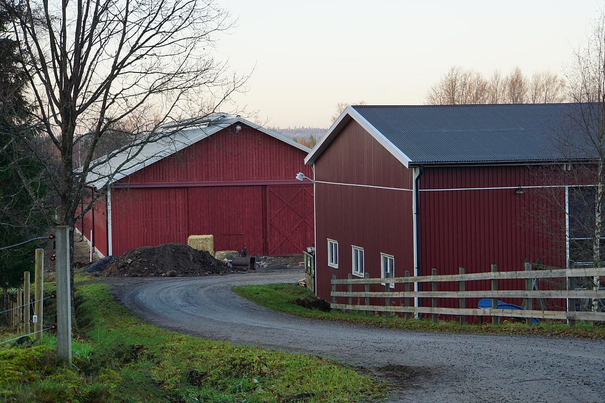 Djurstall, Mullsjö | BORGA
