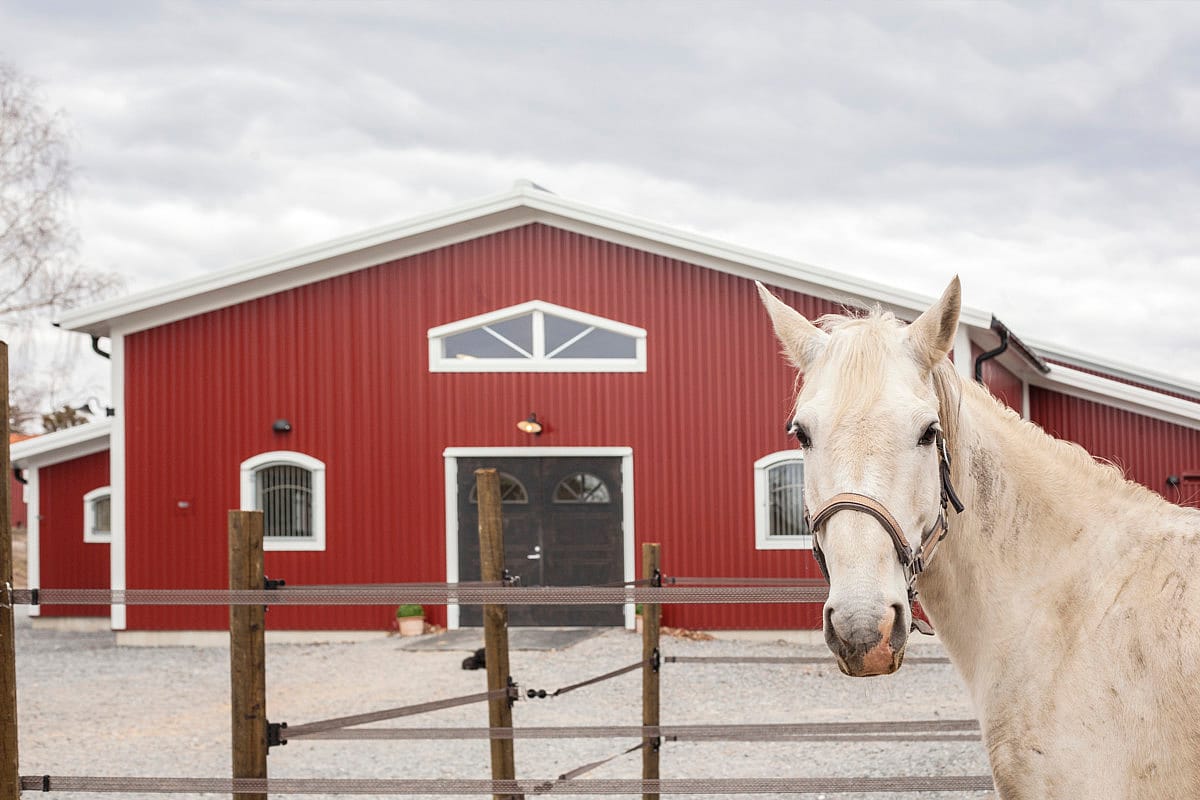Ridhus med stall | BORGA