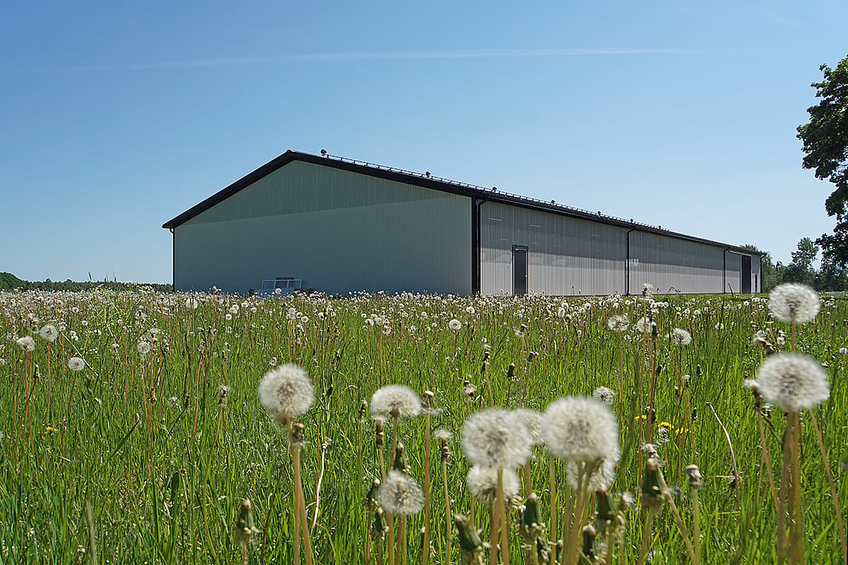 Ridhus, Avesta | BORGA