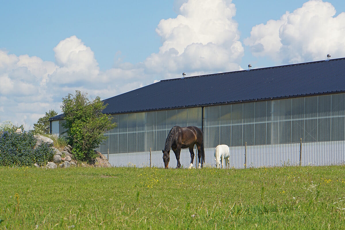Ridhus, Köping | BORGA