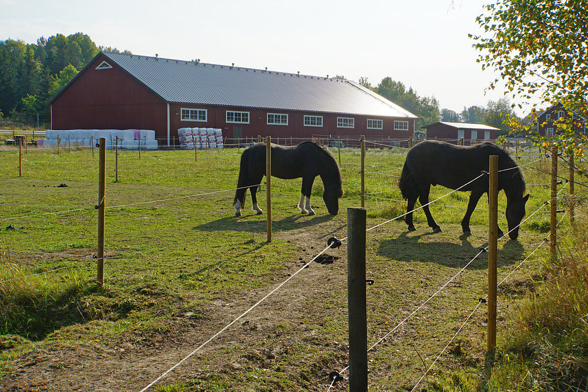 Ridhus, Västerhaninge | BORGA