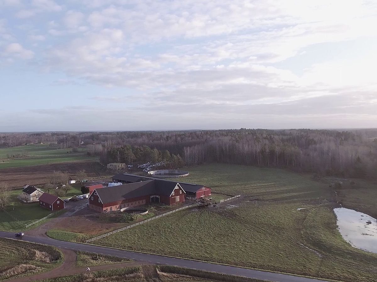 Djurstall, Skövde | BORGA