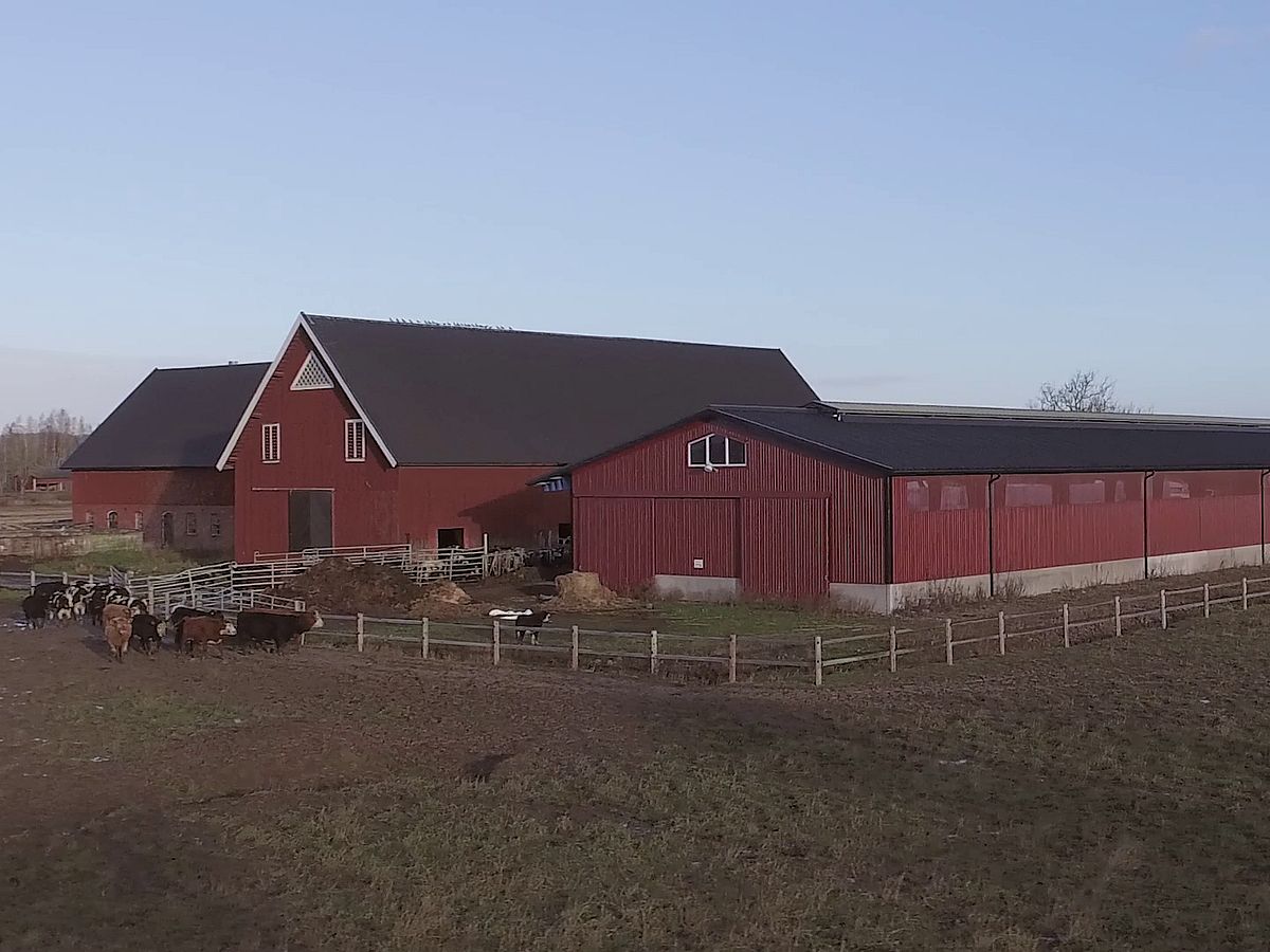 Djurstall, Skövde | BORGA