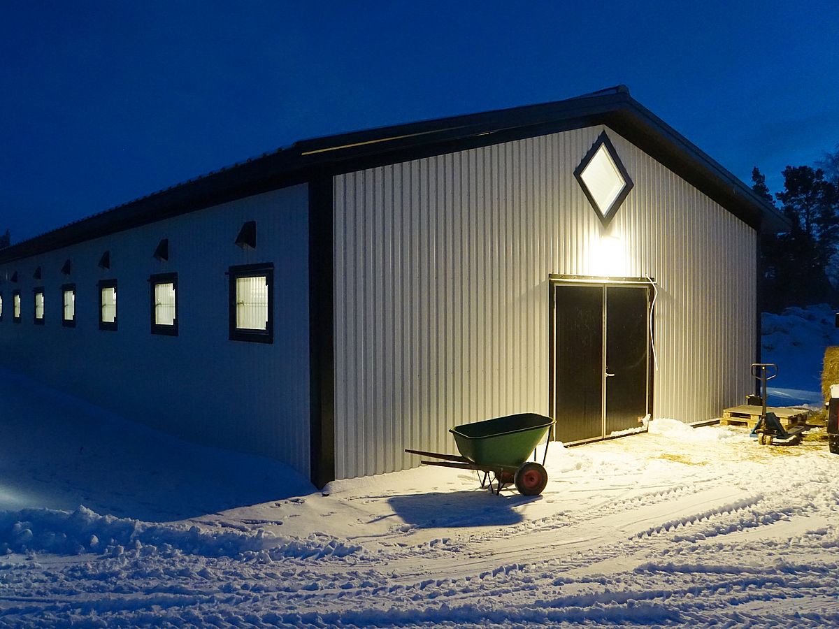 BORGA | Stall Finspång