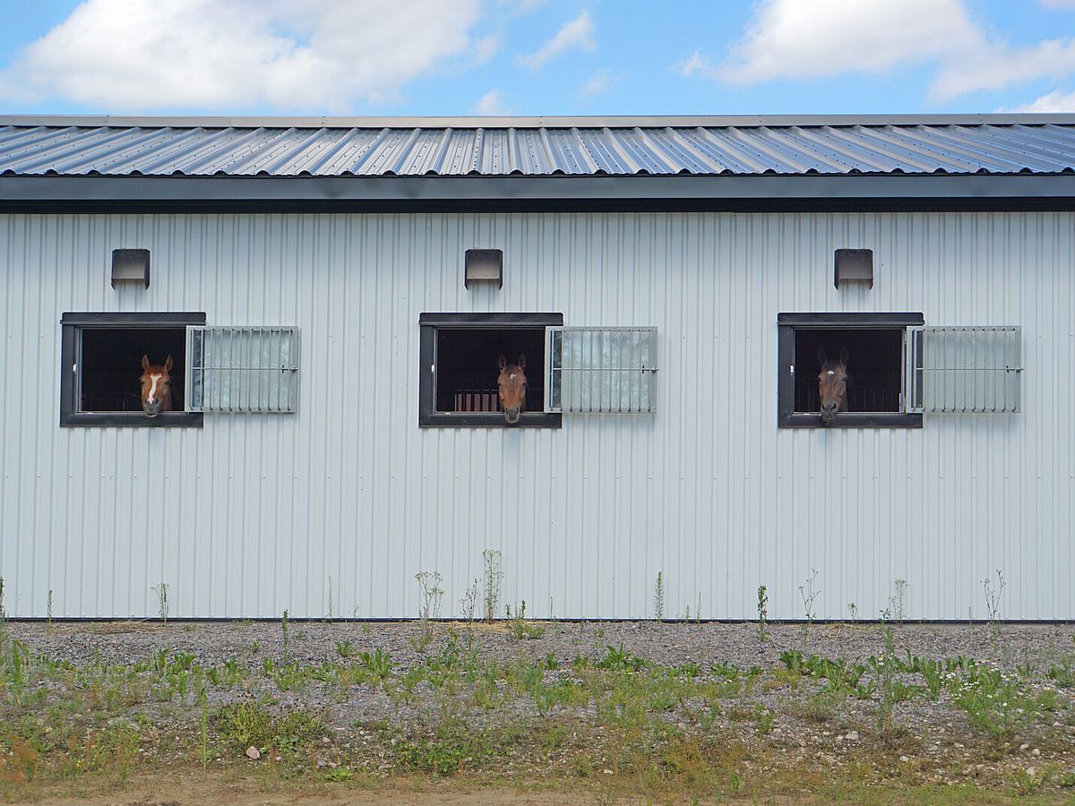 Ridhus och stall, Norrköping | BORGA