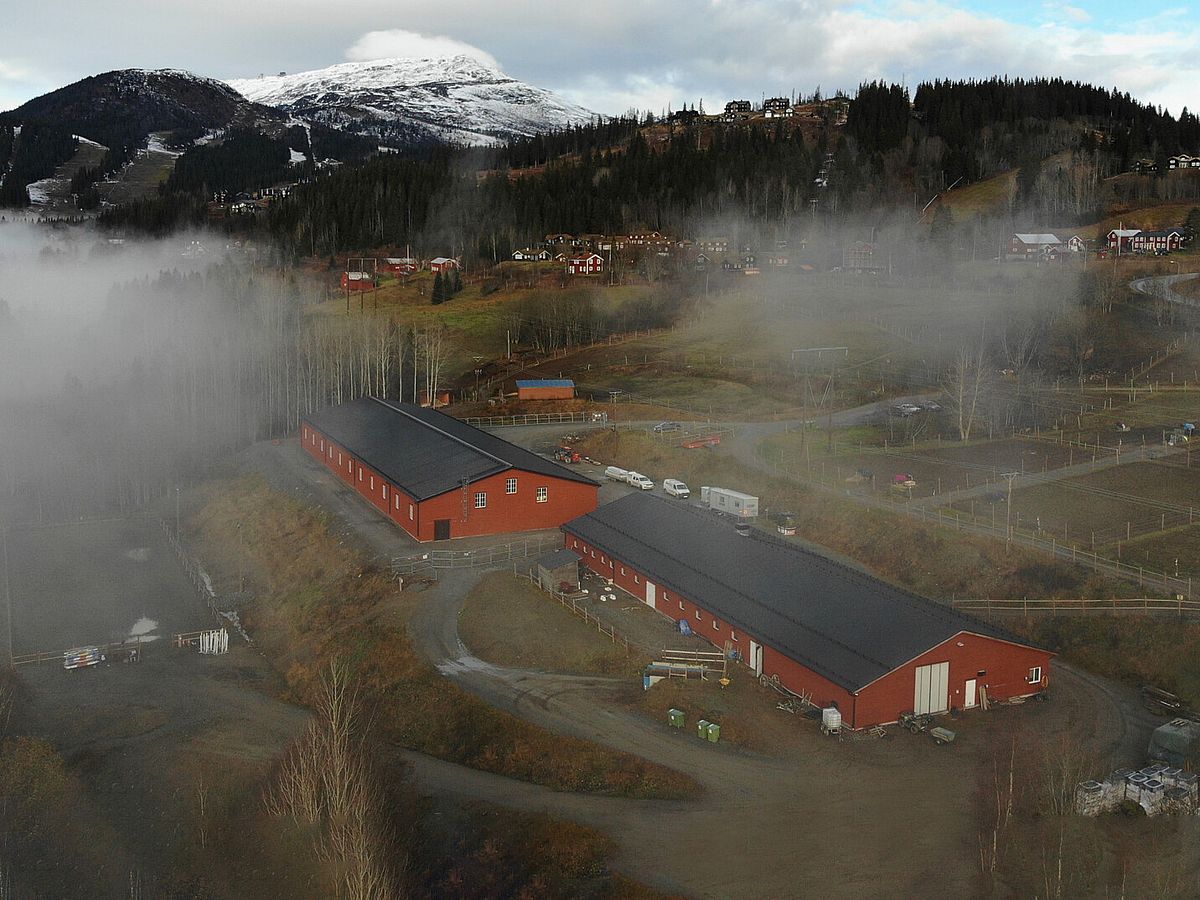 Ridhus, Åre | BORGA