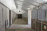 Ridhus med stall, Mariestad | BORGA