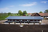 Grisstall, Mariestad | BYGGLANT