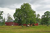 Ridhus, Österbymo | BORGA