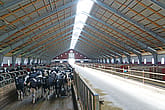 Rekryteringsstall, Öland