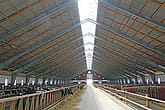 Rekryteringsstall, Öland
