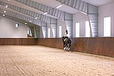 Ridhus med stall | BORGA
