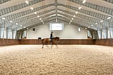 Ridhus med stall | BORGA
