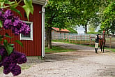 Stall, Värnamo | BORGA - Bygg bekymmersfritt