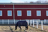 Ridhus, Billdal | BORGA