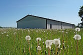 Ridhus, Avesta | BORGA