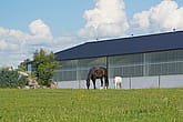 Ridhus, Köping | BORGA