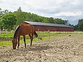 Ridhus, Vallentuna | BORGA