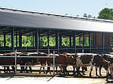 Djurstall, Töreboda | BORGA