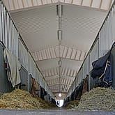 Ridhus och stall, Norrköping | BORGA