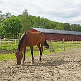 Ridhus, Vallentuna | BORGA