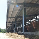Djurstall, Töreboda | BORGA
