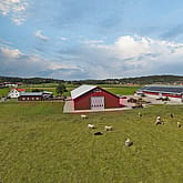 Maskinhall, Tjörn | BORGA
