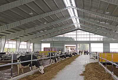 Agricultural buildings, cowsheds, machine halls made of steel | BORGA
