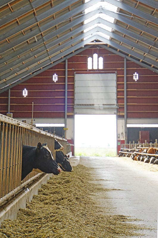 Rekryteringsstall, Öland