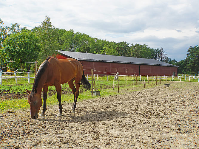 Ridhus, Vallentuna | BORGA