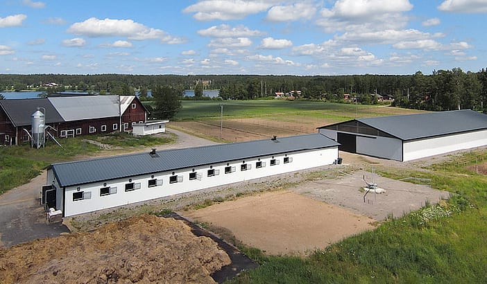 Stall och ridhus | BORGA