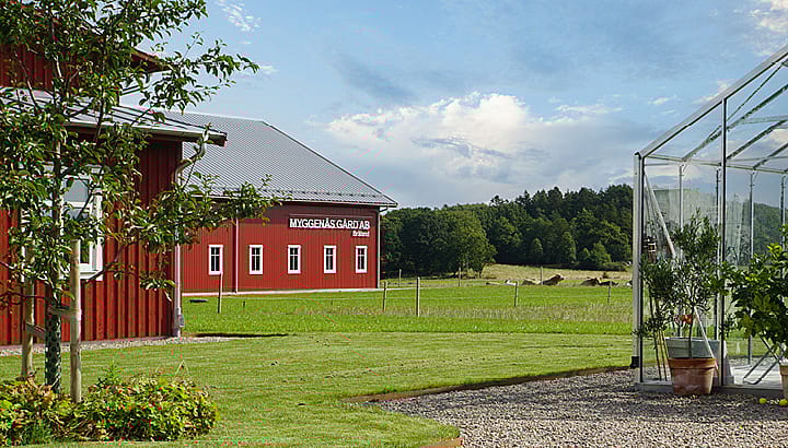Maskinhallar | BORGA