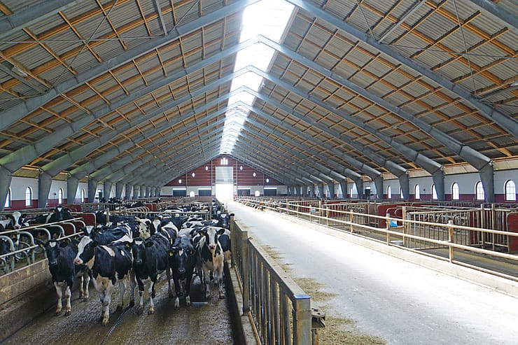 Rekryteringsstall, Öland
