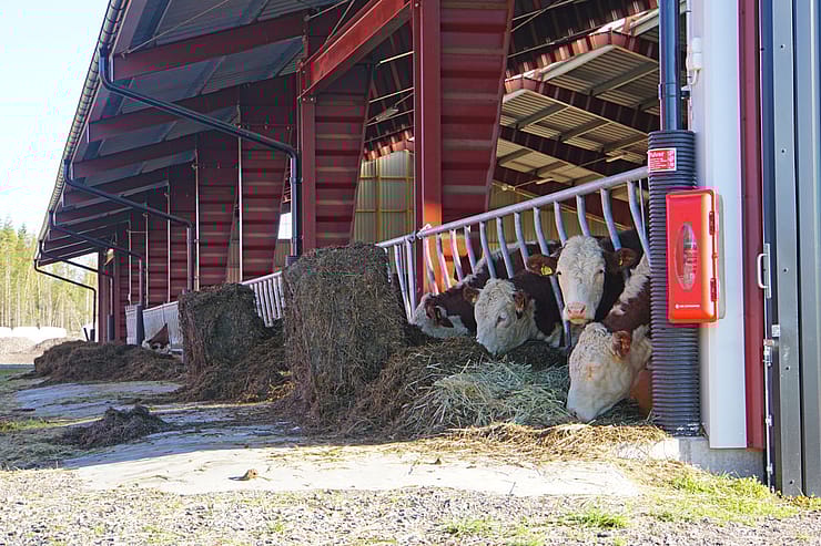 Kostall, Kristinehamn | BORGA