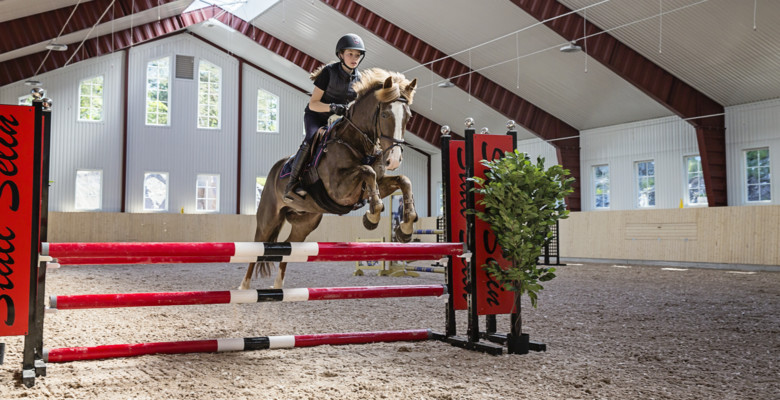 Hästsport – ridhus och stall | BORGA