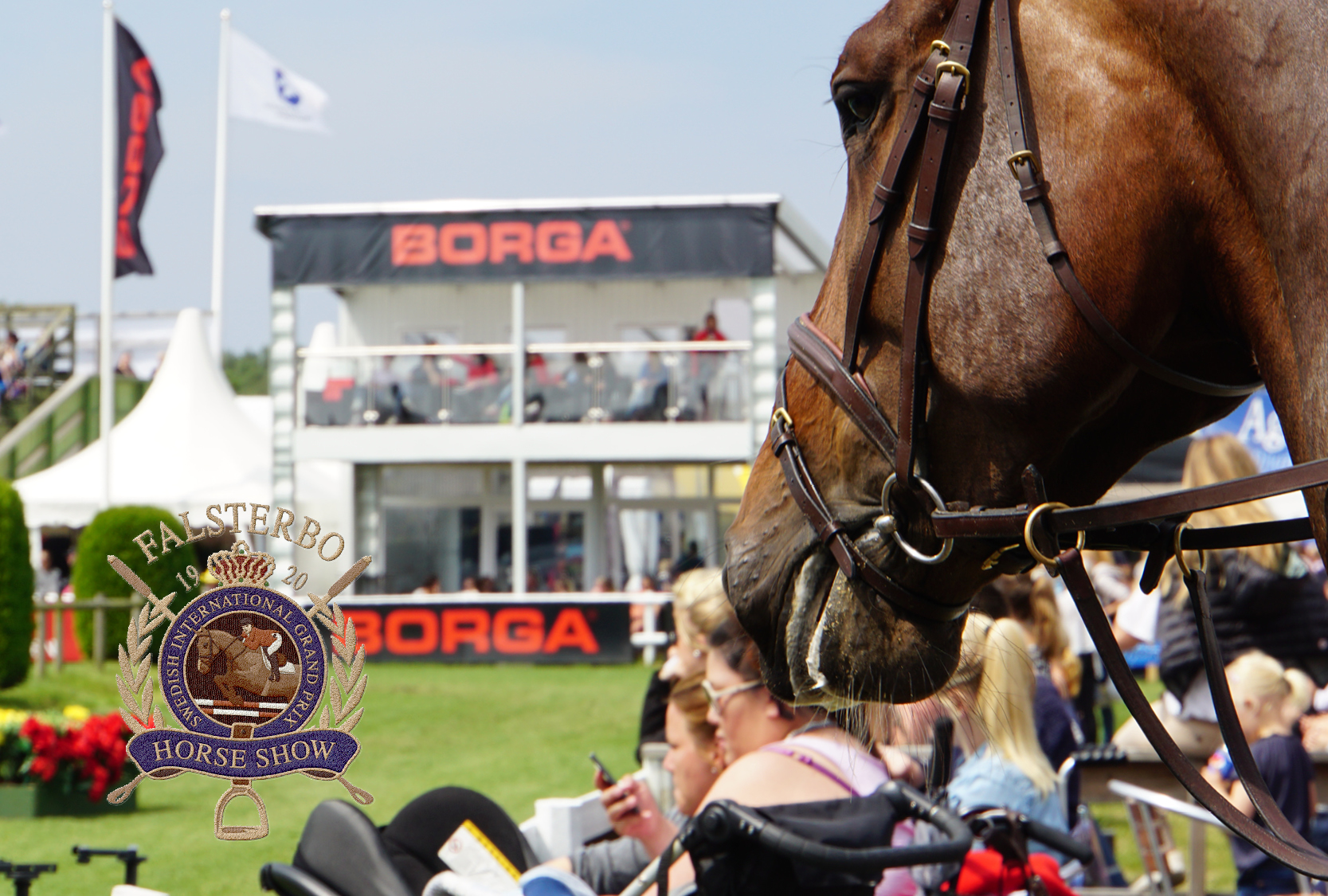BORGA | Falsterbo Horse Show