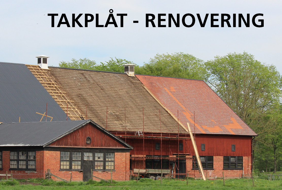 Borga | Takplåt - renovering