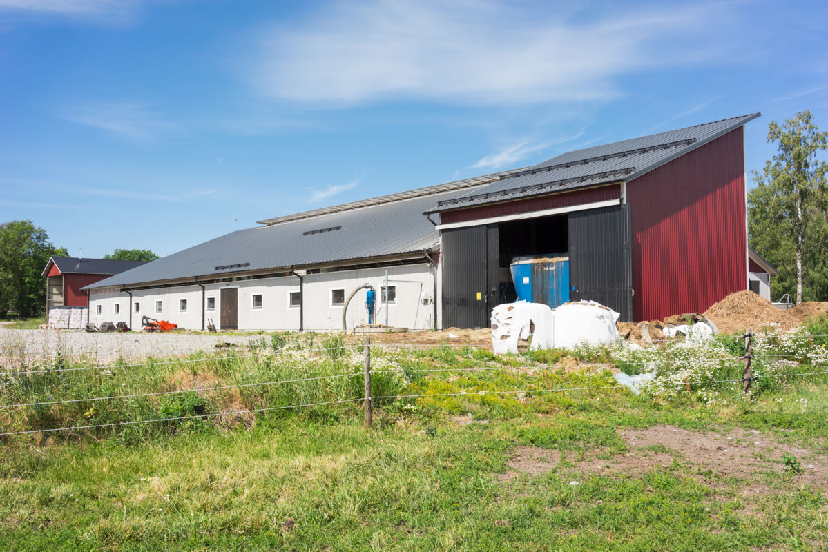 Dairy facility, Tärnsjö Sweden | BYGGLANT