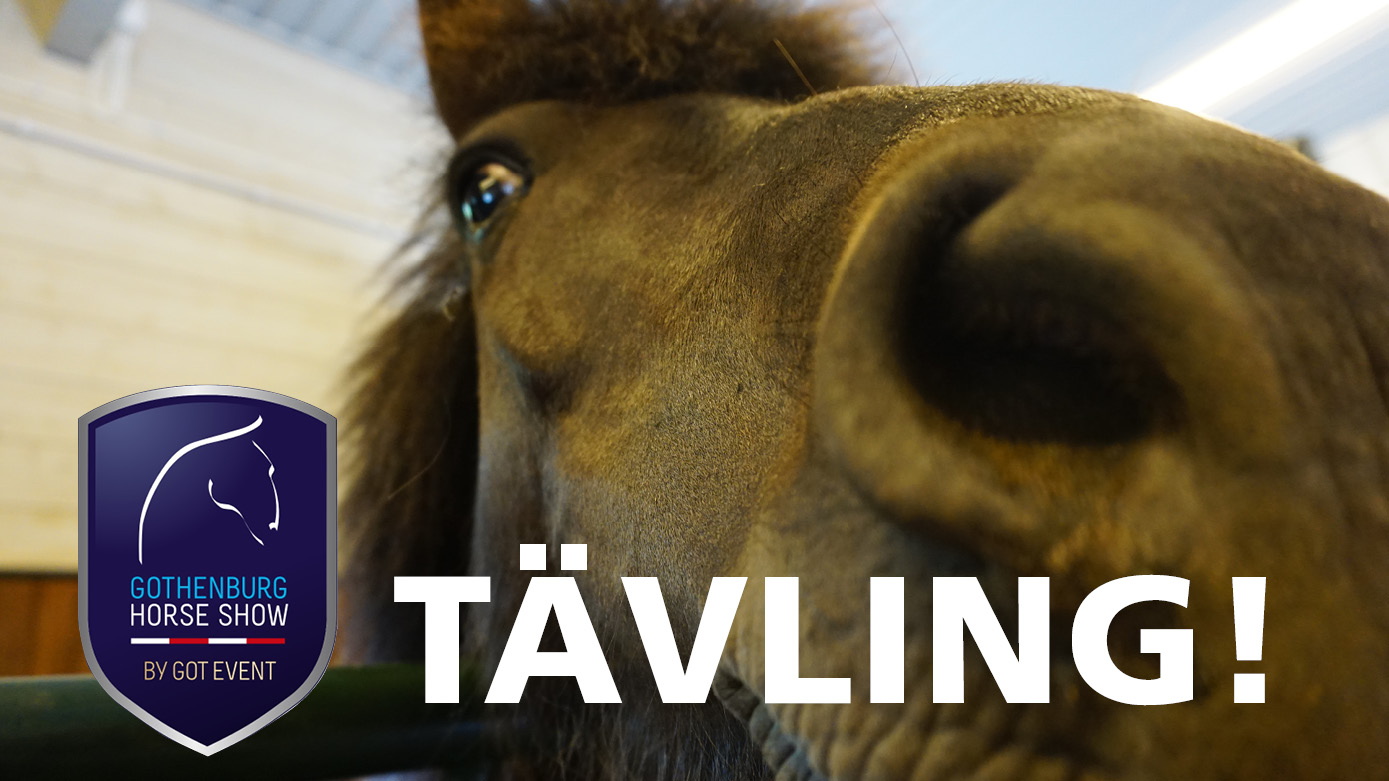 BORGA | facebook tävling GHS 2019