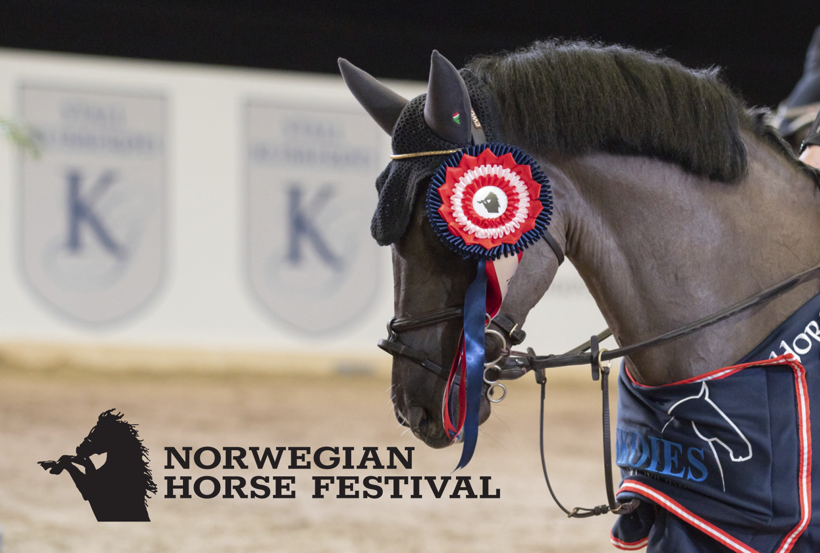 Borga på mässa | Norwegian Horse Festival