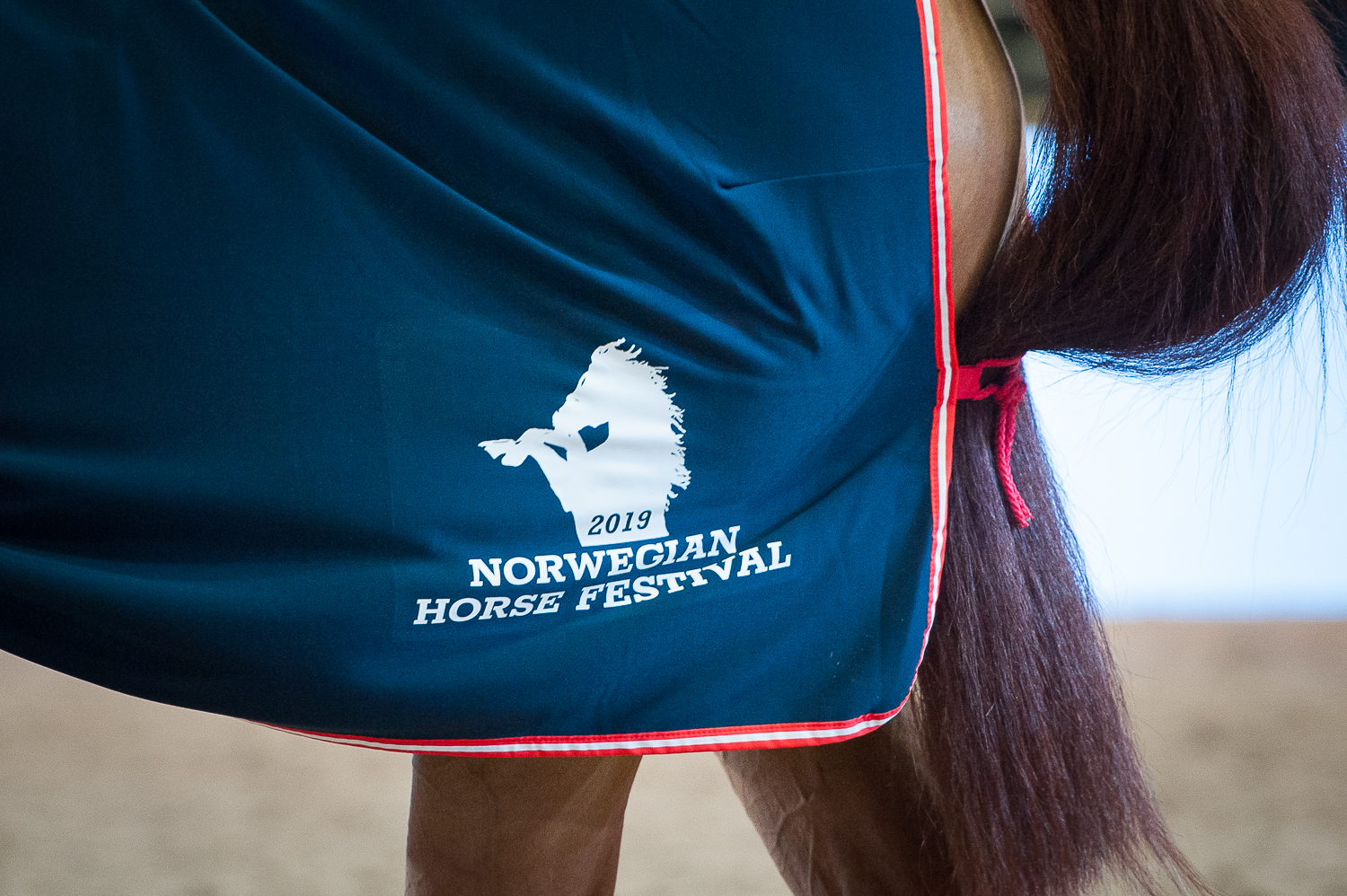 Borga på mässa | Norwegian Horse Festival