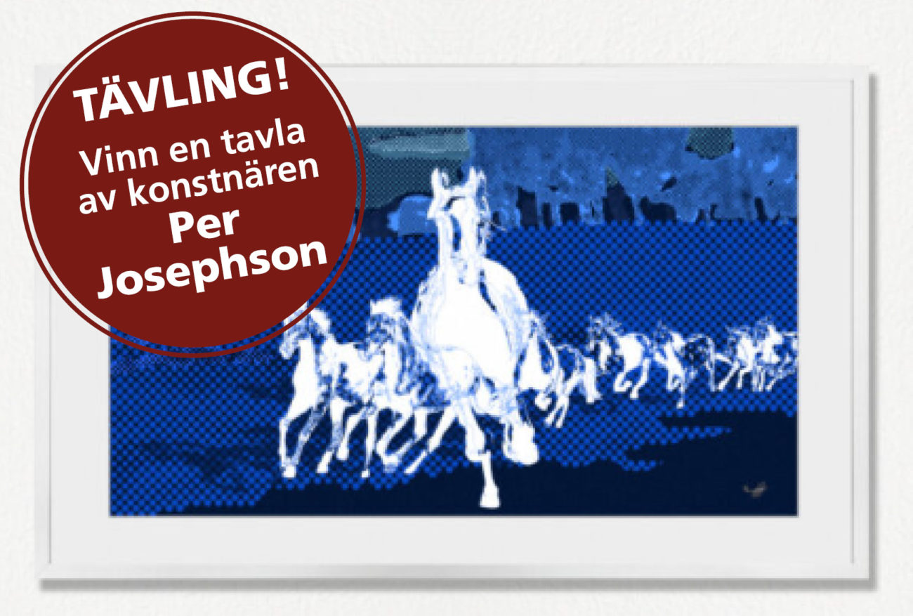 Tävla på FHS 2022 | BORGA
