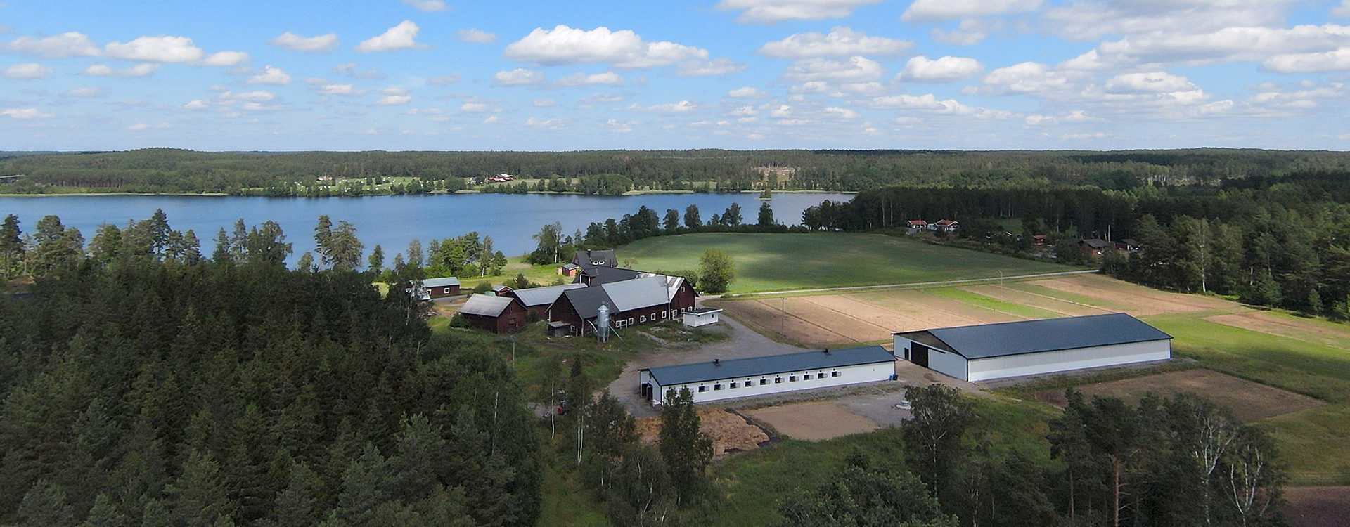 Drönarvy över Borgas ridhus