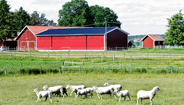 Ändamålsenligt fårstall från Borga